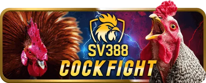 Livestream đá gà HD