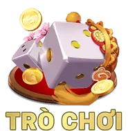 Hình ảnh minh họa các loại dữ liệu được 888p win thu thập